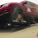 Image for article titled Nissan Ad Seems To Promote Illegal Off-Roading In Japan's National Parks